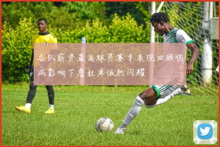 各队薪资最高球员赛季表现回顾伤病影响下詹杜库依然闪耀